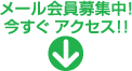 ʡ�温�����������������ͥ륮������