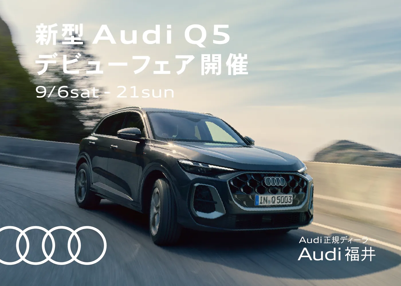 The all-new Audi Q5 Debut Fair