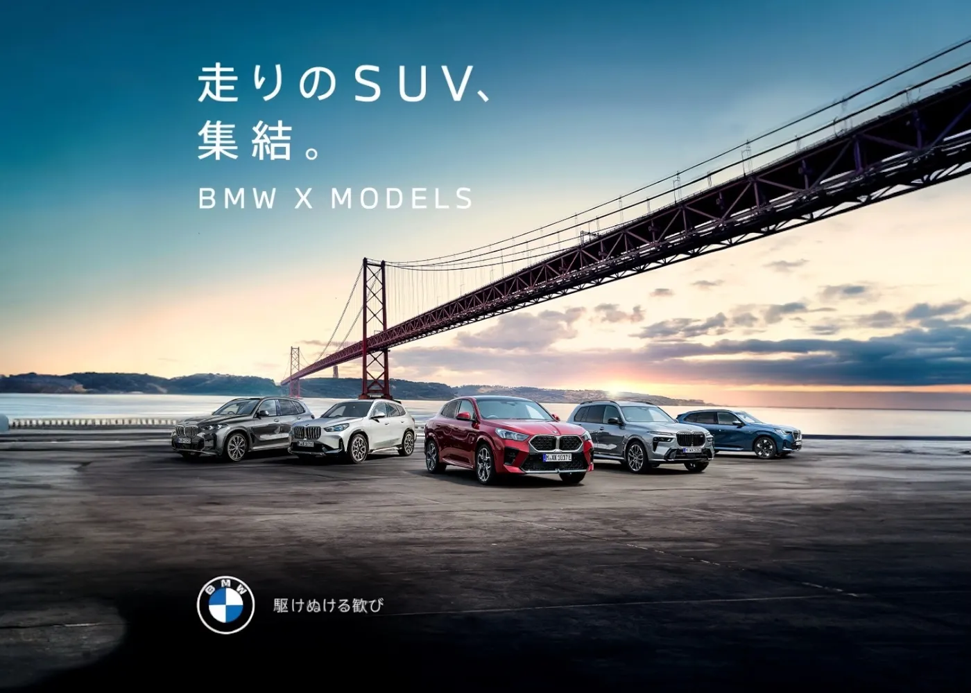 BMW SUV FAIR